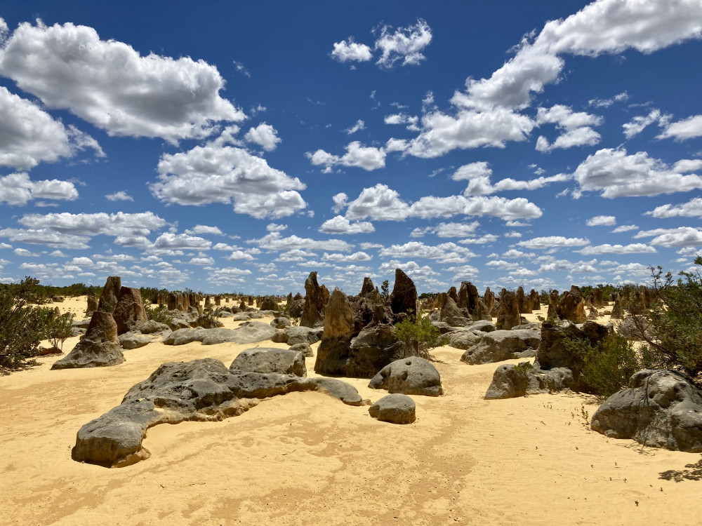 Pinnacles Day Tour