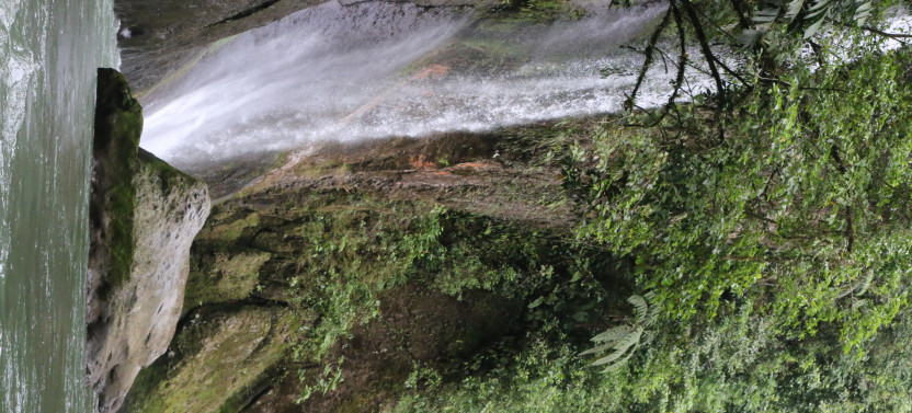 Pacuare River One Day Rafting Trip