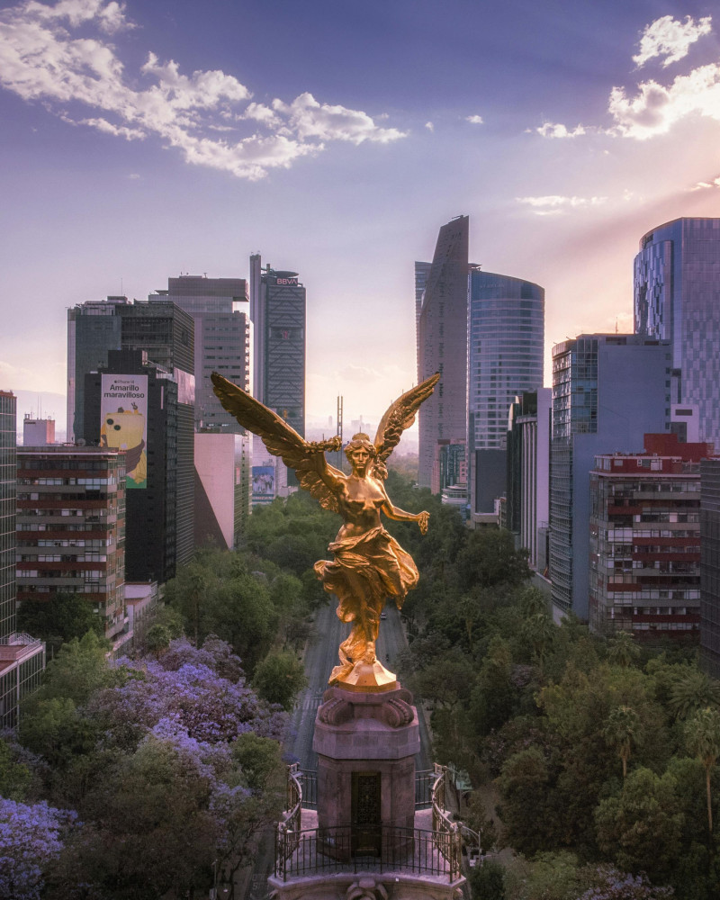 Driver Mexico City: Explore as You Want