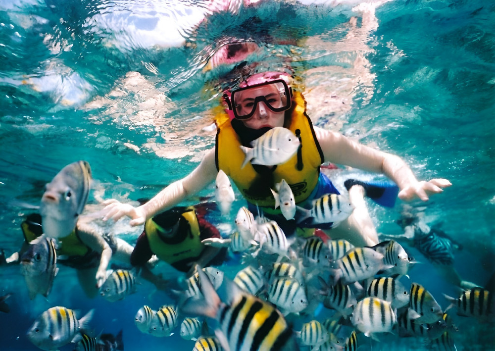 Scuba Diving Tulum Beginners: Explore the Amazing Submarine Life