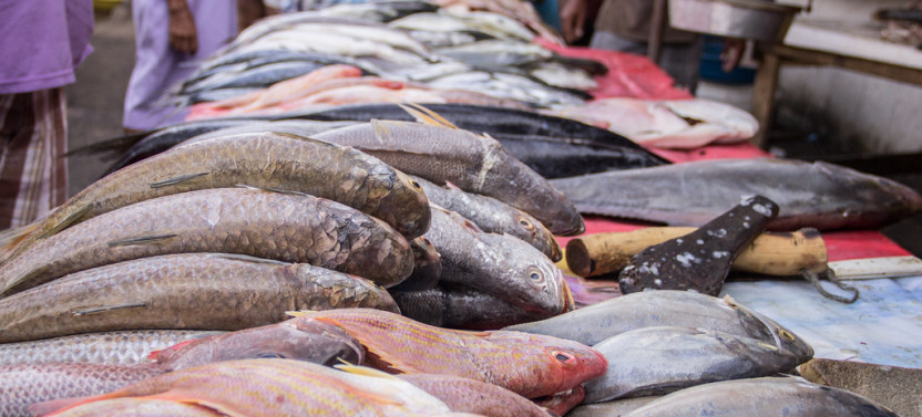 Discover Cartagena's Bazurto Market: Authentic Food & Culture