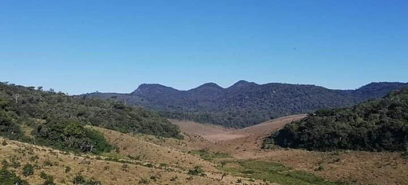 Bambarakanda to Horton Plains Jeep Safari