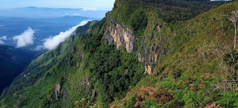 Bambarakanda to Horton Plains Jeep Safari