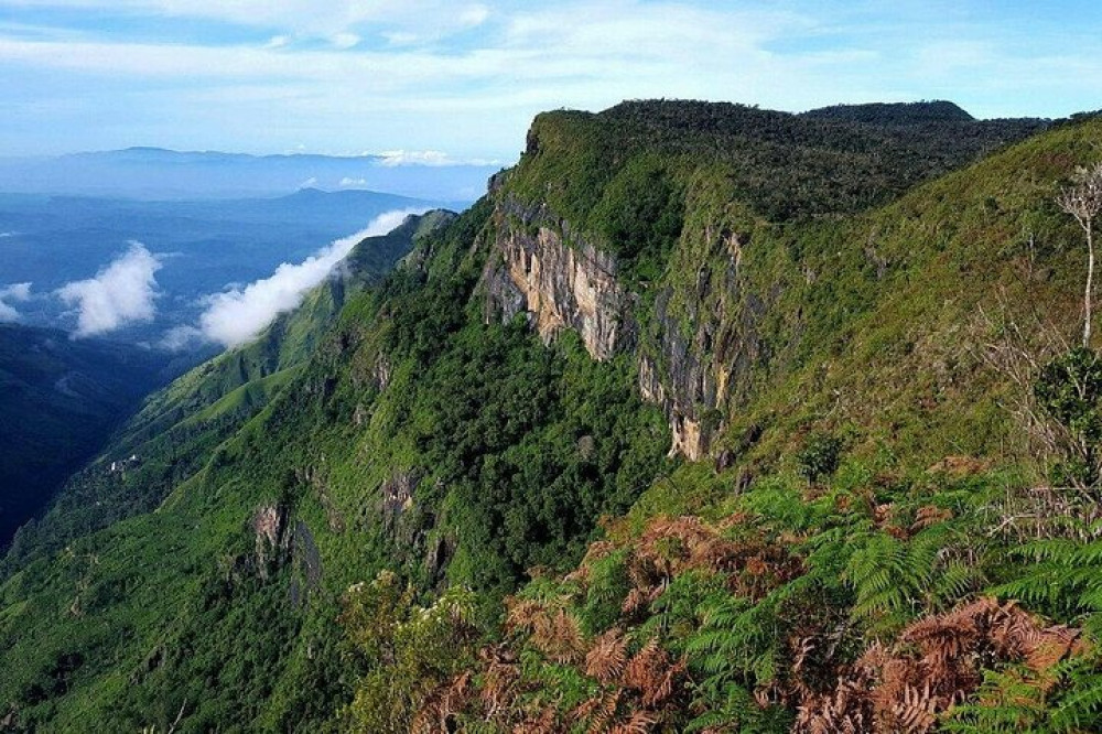 Bambarakanda to Horton Plains Jeep Safari