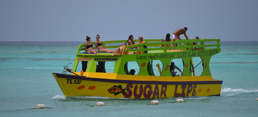 Little Tobago Glass Bottom Boat Tour