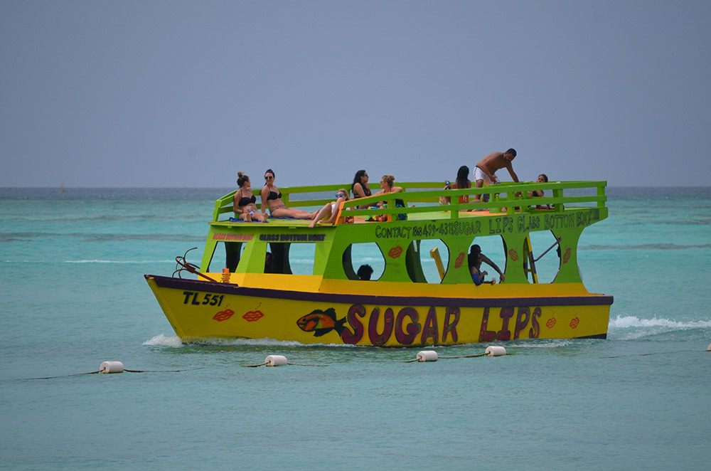 Little Tobago Glass Bottom Boat Tour