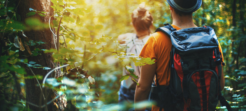 Rainforest Nature Trail Tour