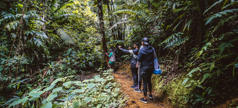 Rainforest Nature Trail Tour