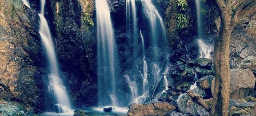 Waterfall Hike Tobago