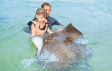 Stingray Beach Cozumel1