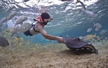 Stingray Beach Cozumel2