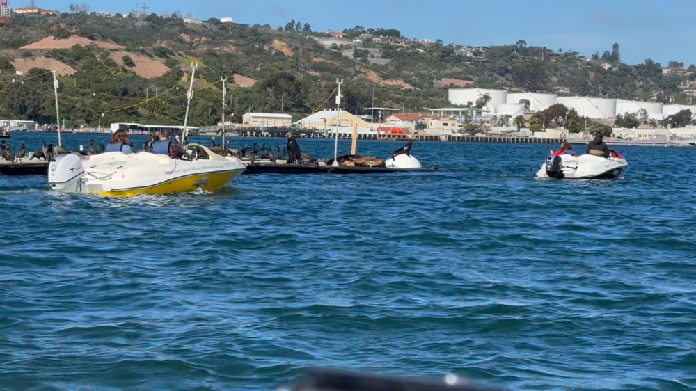 Speed Boat Adventures