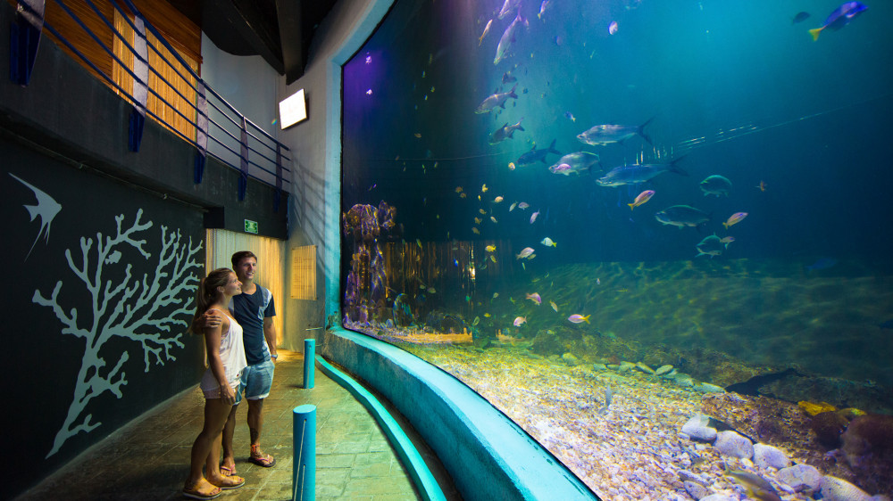 Interactive Aquarium Cancun: Admission