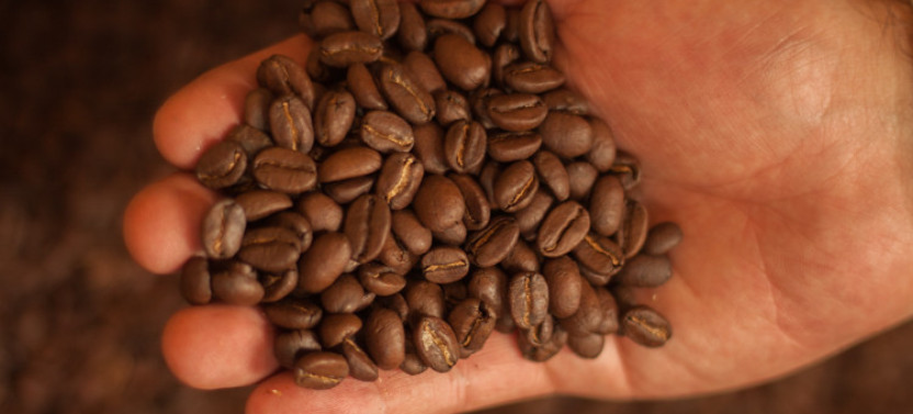 Coffee Heaven: Hacienda el Paraíso