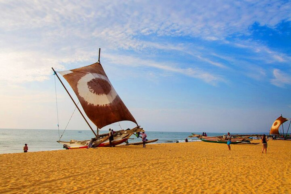 Catamaran Sunset Sailing in Trincomalee