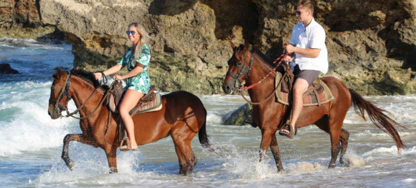 Morning Tour and Beach Ride