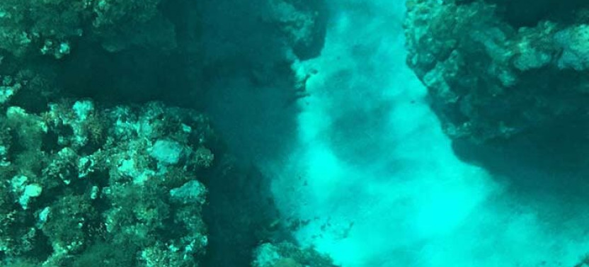 Glass Bottom Boat Ride in Trincomalee