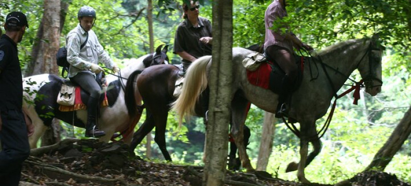 Horse Riding in Dambulla