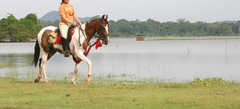 Horse Riding in Dambulla