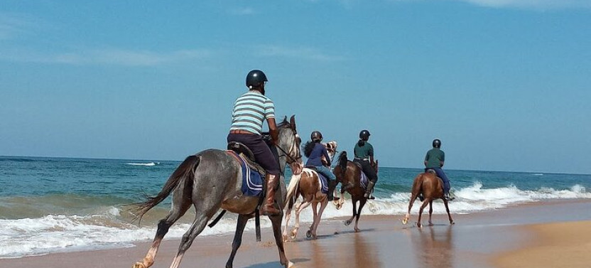 Horse Riding in Kalpitiya