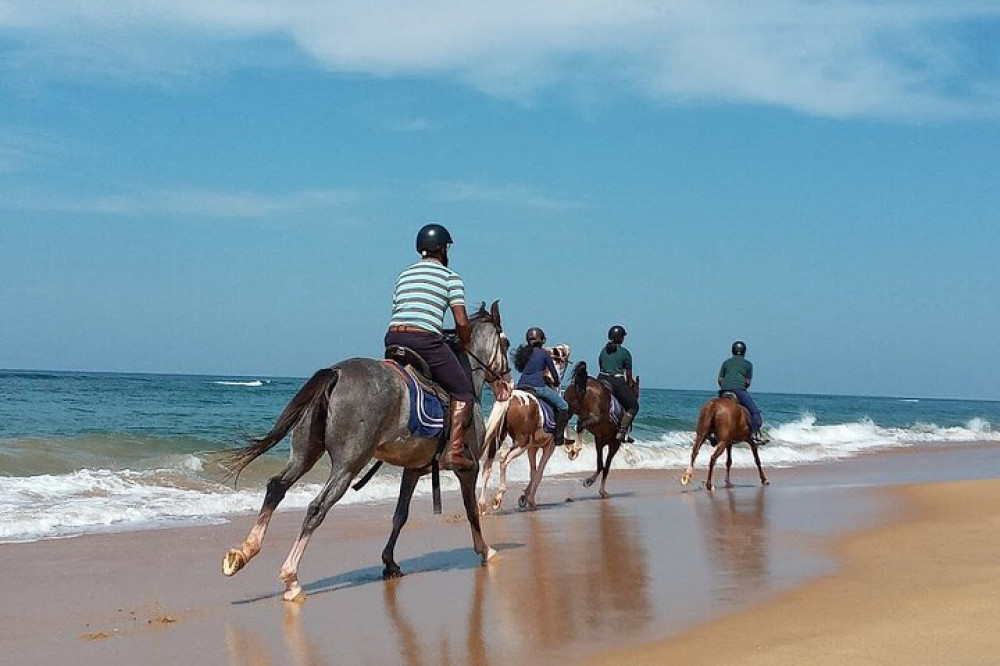 Horse Riding in Kalpitiya