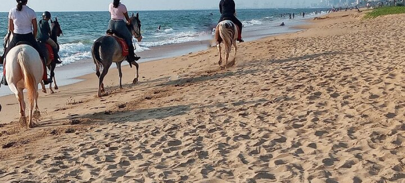 Horse Riding in Kalpitiya