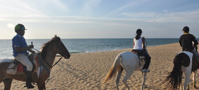 Horse Riding in Kalpitiya