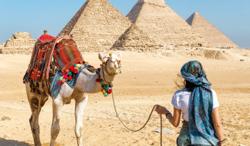 A picture of 2 Day Cairo Pyramids & Alexandria with Airport Transfers & Lunch