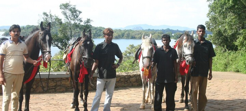 Horse Riding in Nuwara Eliya
