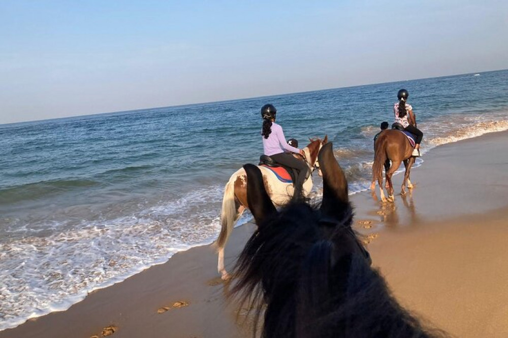 Horse Riding in Port City