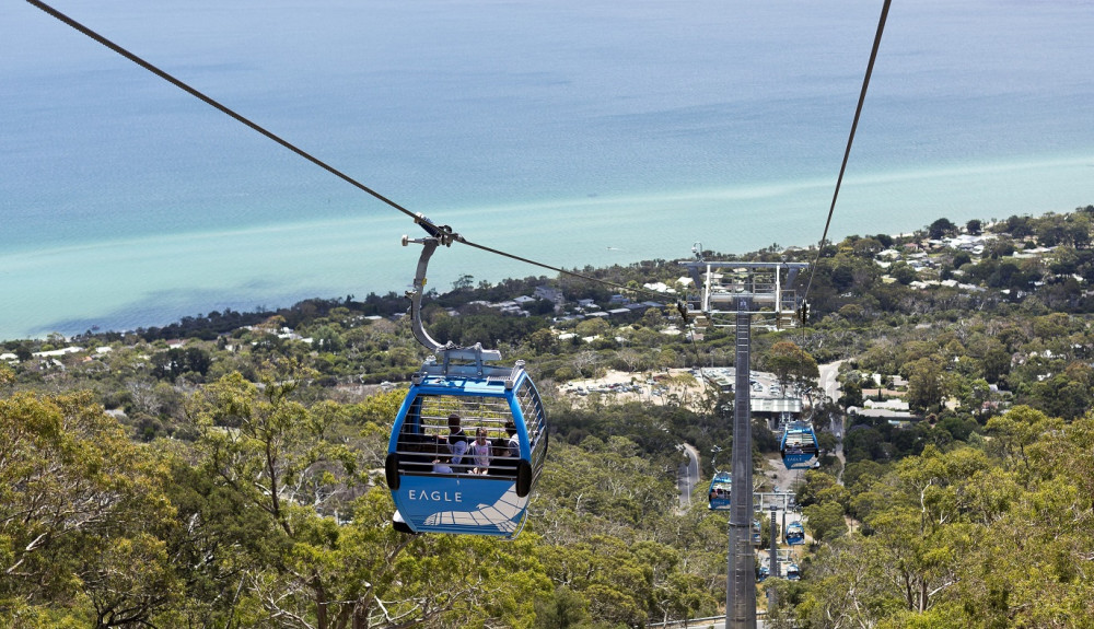 Mornington Peninsula Scenic Bus Tour + Lunch, Chocolate Tasting