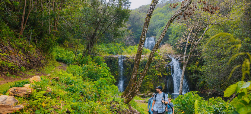 Kohala Waterfalls Adventure