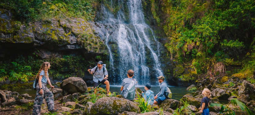 Kohala Waterfalls Adventure - Private Ohana Outing