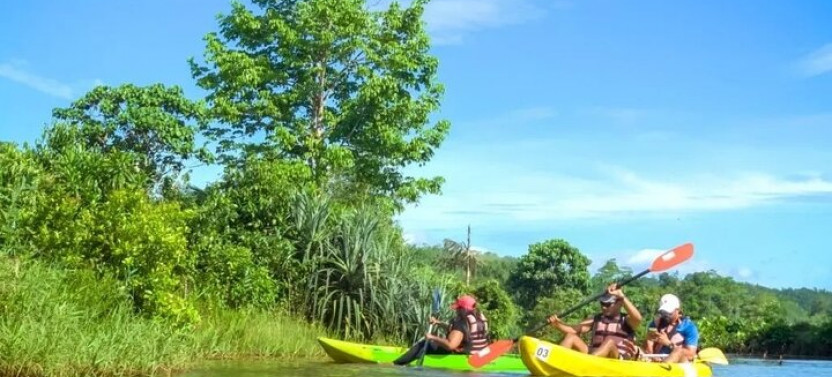 Flat Water Kayaking in Galle