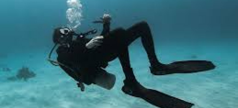 Night Diving in Negombo