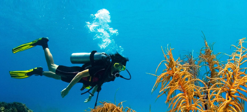 Scuba Diving in Negombo