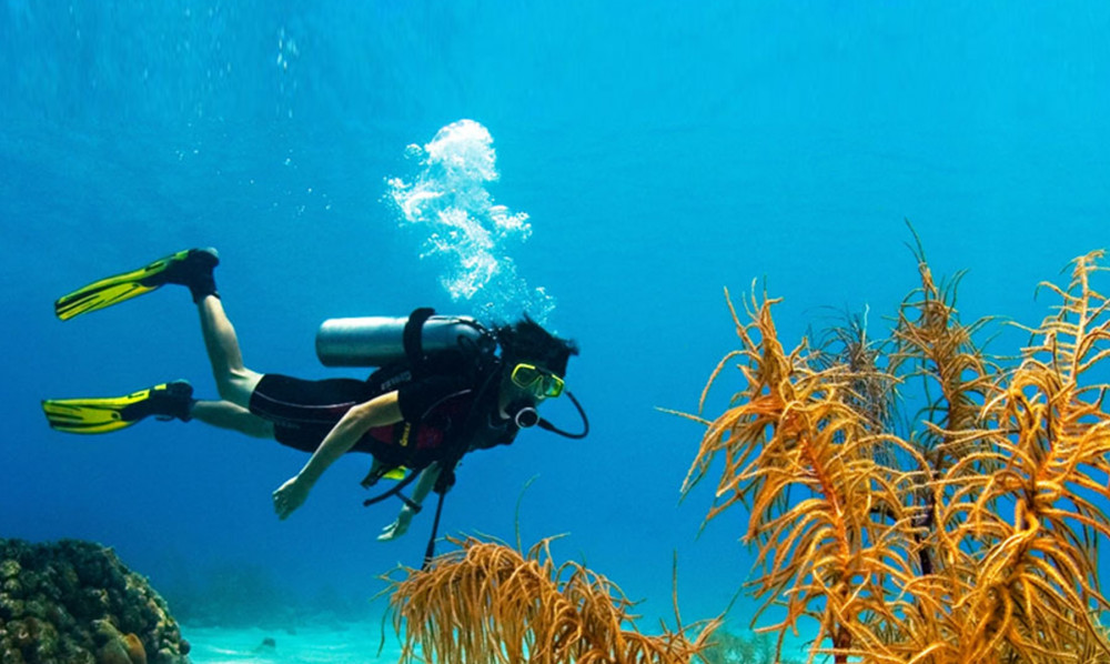 Scuba Diving in Negombo