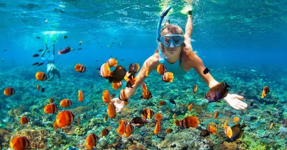 Snorkeling in Hikkaduwa