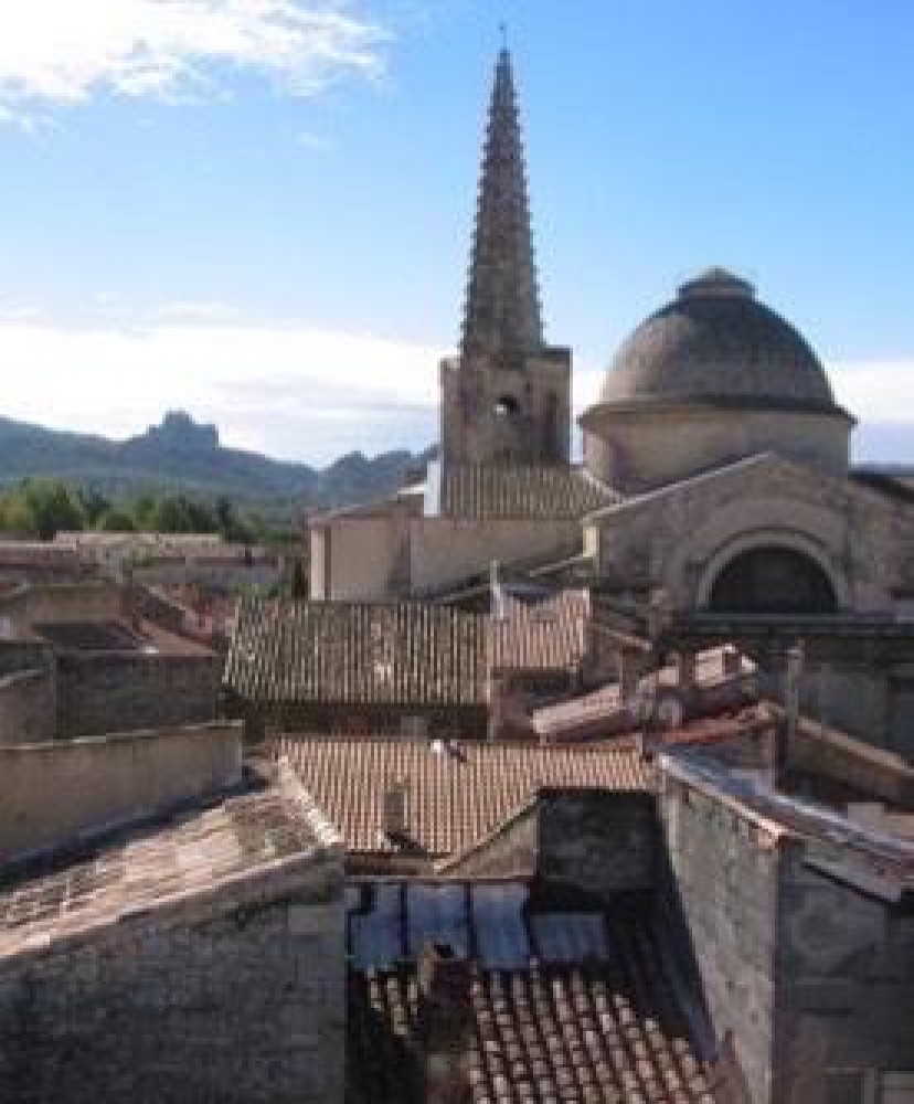 Private: Villages of the Alpilles from Marseille