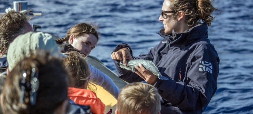 Whale Watching & Islet Boat Tour