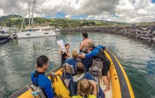 Azores Whale Watching TERRA AZUL2