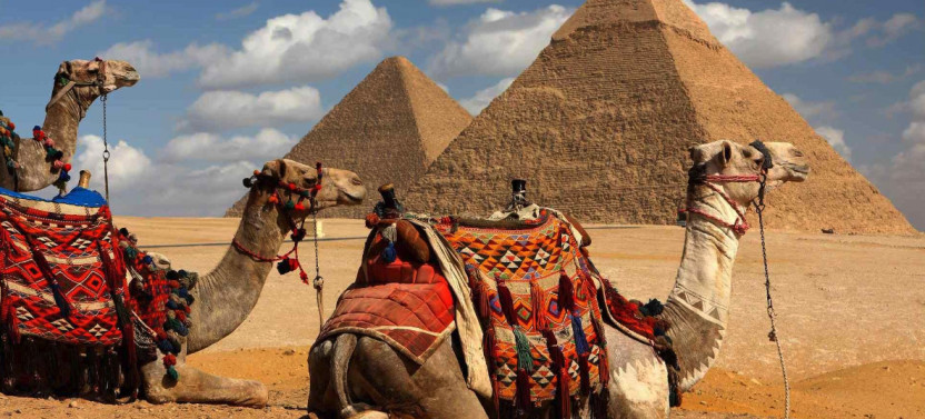 8 Day Egypt Tour to Cairo and Alexandria with Nile Cruise from Aswan