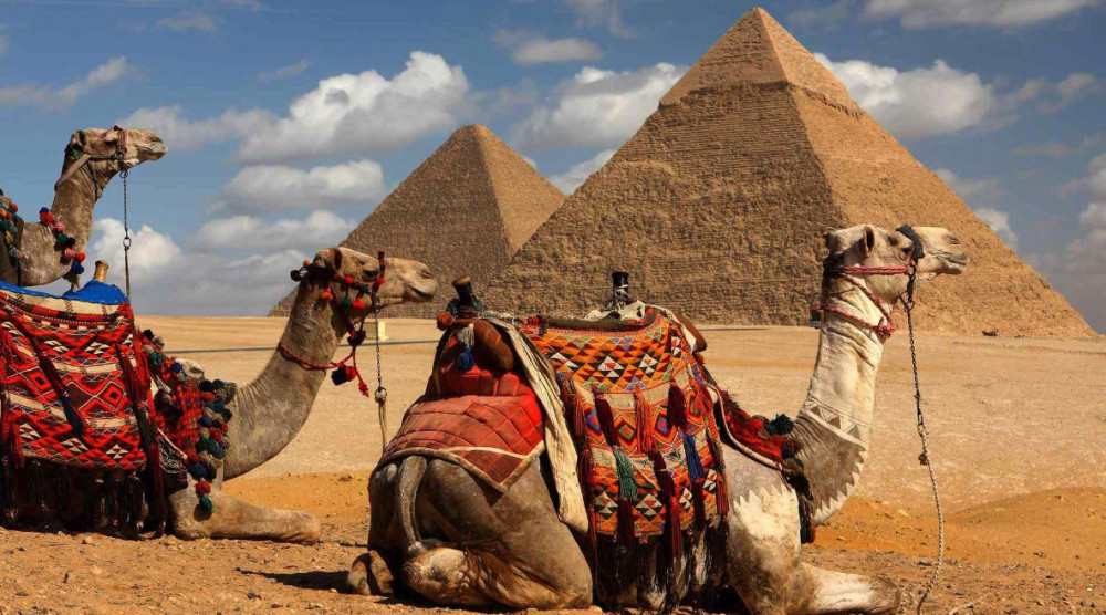 8 Day Egypt Tour to Cairo and Alexandria with Nile Cruise from Aswan