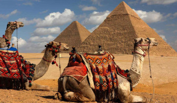 A picture of 8 Day Egypt Tour to Cairo and Alexandria with Nile Cruise from Aswan