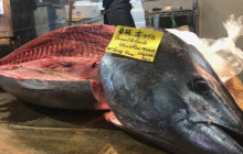 Classic Tsukiji Food Tour