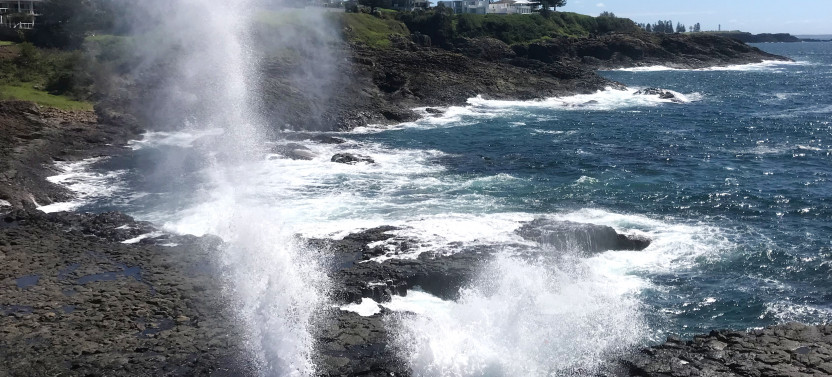 South Coast to Country Private Tour via the Grand Pacific Drive