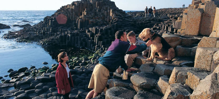 Giant's Causeway Day Tour + Hop On Hop Off Belfast