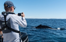 Sydney Harbour Boat Tours1