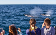 Sydney Harbour Boat Tours8