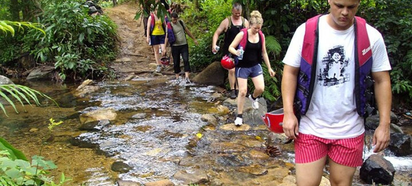 ﻿Uduwara and Nagadowa Waterfall Trekking